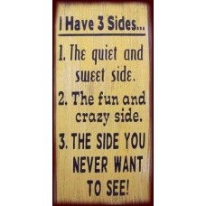 I Have 3 Sides Humerous Primitive Country Distressed Wood Sign Home Decor   201425540706